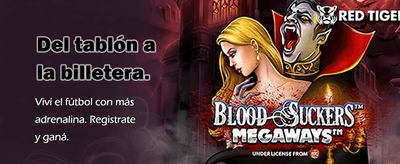 Bienvenidos a stakecasinoonline.org